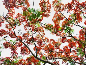 4月国产和进口游戏版号公布 《流放之路降临》等过审