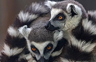 《刀剑神域 异绊集结》新预告 展示故事和游戏玩法